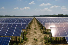An outdoor solar panel array