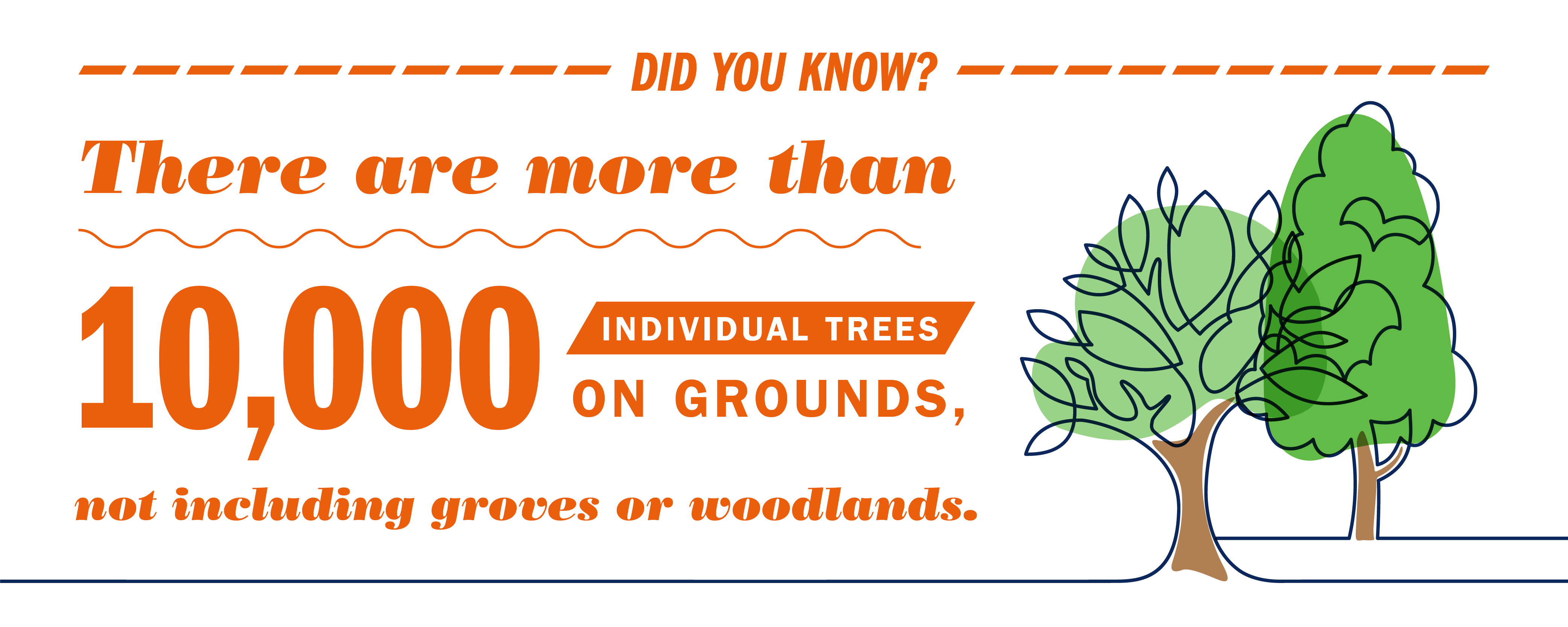 Did you know? There are more than 10,000 individual trees on Grounds, not including groves or woodlands.