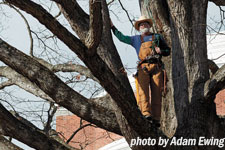 Jerry Brown poses standing in a tree