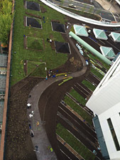 Green roof towards final installation