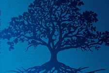 Illustration of a tree and its elaborate root system, rendered in shades of blue