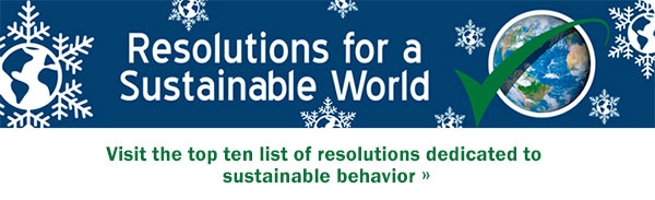 Resolutions for a Sustainable World graphic