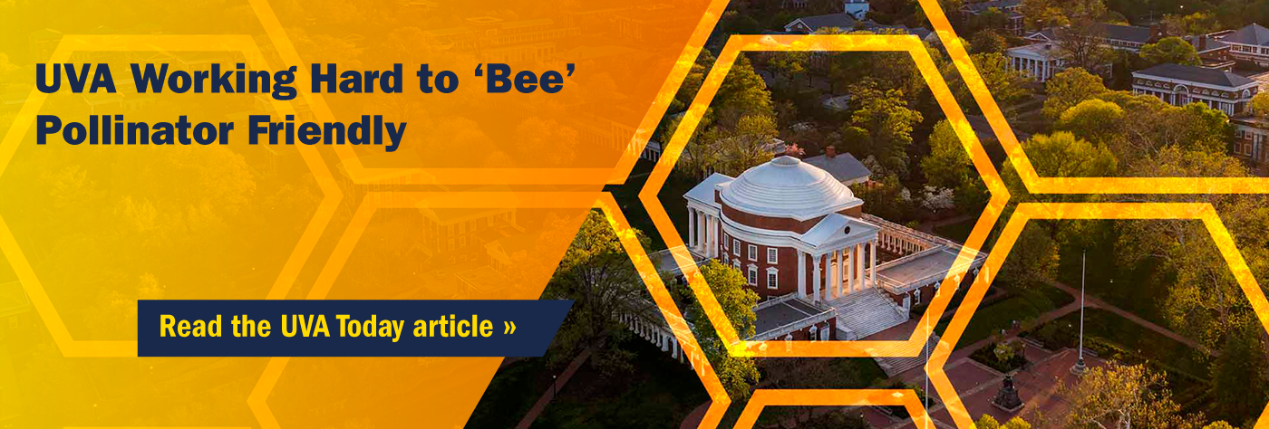 UVA Working Hard to 'Bee' Pollinator Friendly - Read the UVA Today article