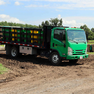 A truck with Black Bear Composting's logo carries several yellow and green bins