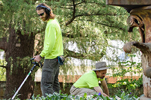 Chris Sutton and Roland Von der Muhll tending to a Pavilion garden