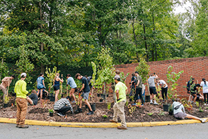 Students planting trees
