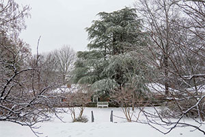 Snow blankets a UVA garden after the year's first winter storm