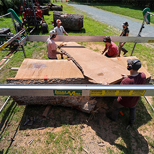 UVA Sawmilling workers slide a slab of wood from an 11-foot-long white oak log.