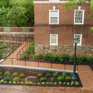 Aerial view of the Central Grounds access ramp