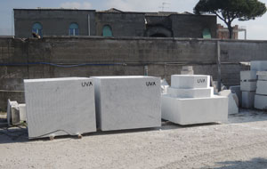 Green roof during installation