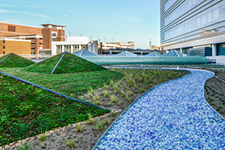 UVA Hospital's new green roof