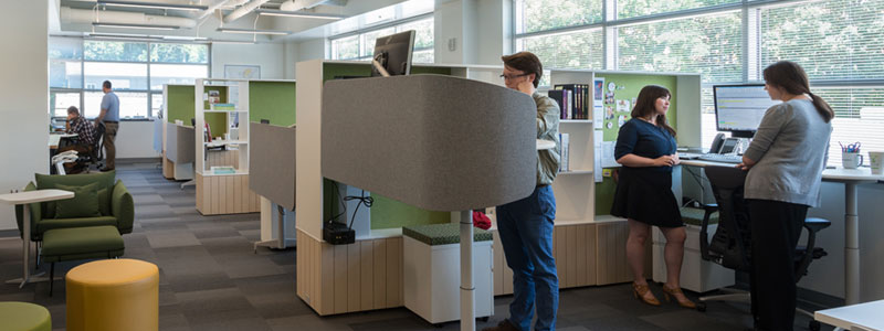 Skipwith Hall features ergonomic furniture, such as adjustable standing desks and standing chairs, meant to promote the health and wellness of the building’s occupants