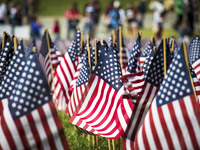 Flags on the Grounds of UVA