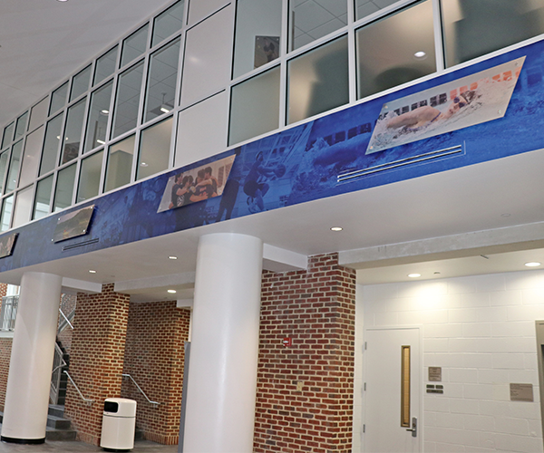 Photographic banners hung inside the Aquatic Fitness Center