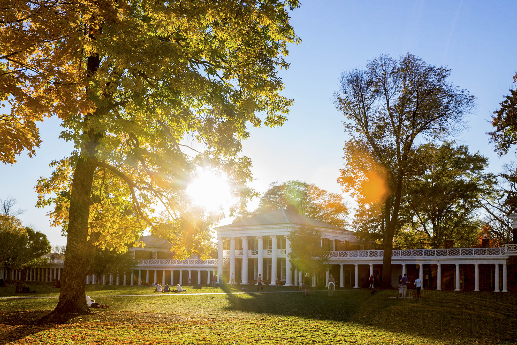 The Rotunda with sunlight streaming through a tree on the Lawn